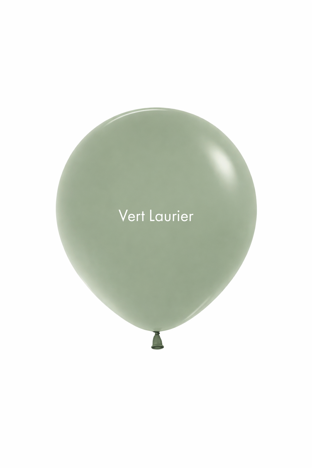 Ballons ronds 60 cm Sempertex (1pc) – Image 48