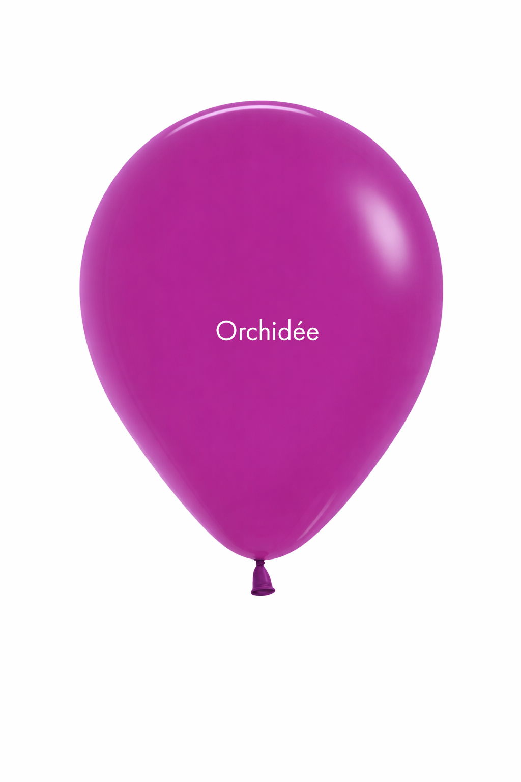 Ballons ronds 60 cm Sempertex (1pc) – Image 33